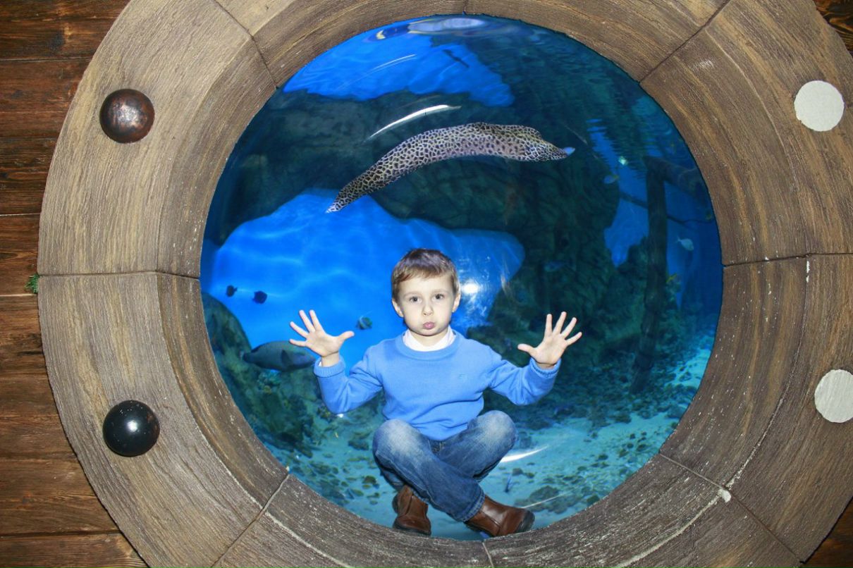 Константин Казаков | Москва