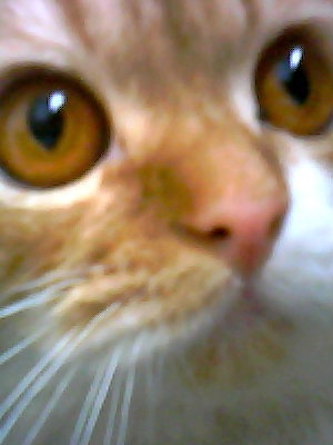 №5, Таня Бурнашева, Киев №5, Таня Бурнашева, Киев