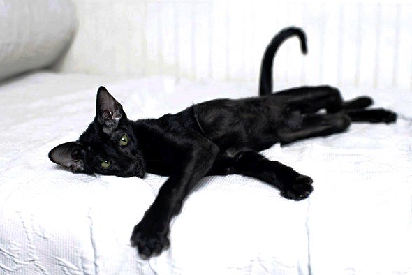 Vlad Siroklyn | Киев