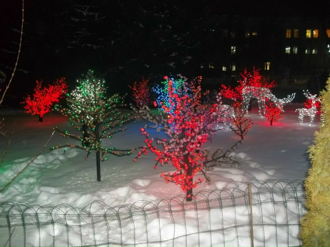 Вова Лобур Андрійович | Тернополь