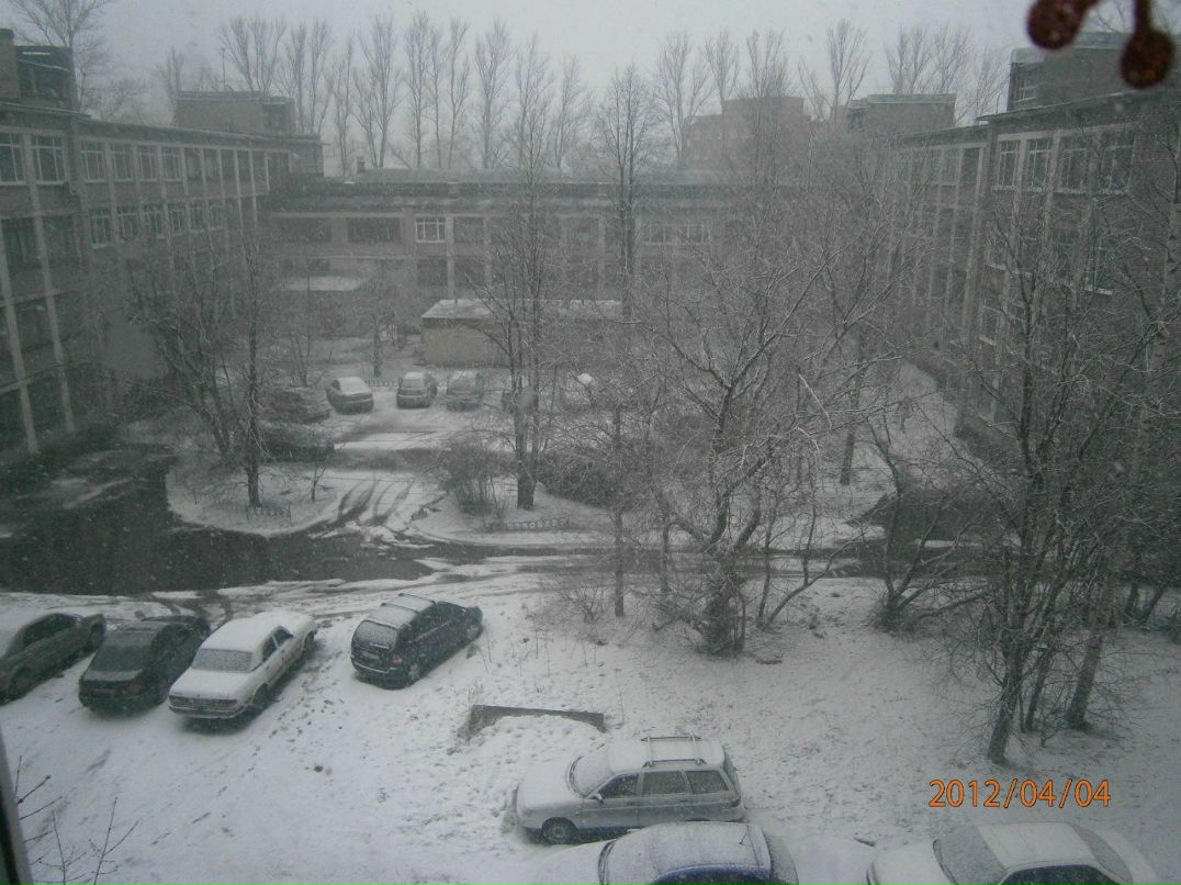 Маргарита Фомичёва Лисса | Санкт-Петербург