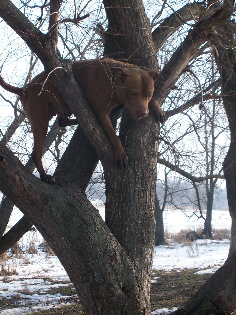 Юлианна Горкина | Воронеж