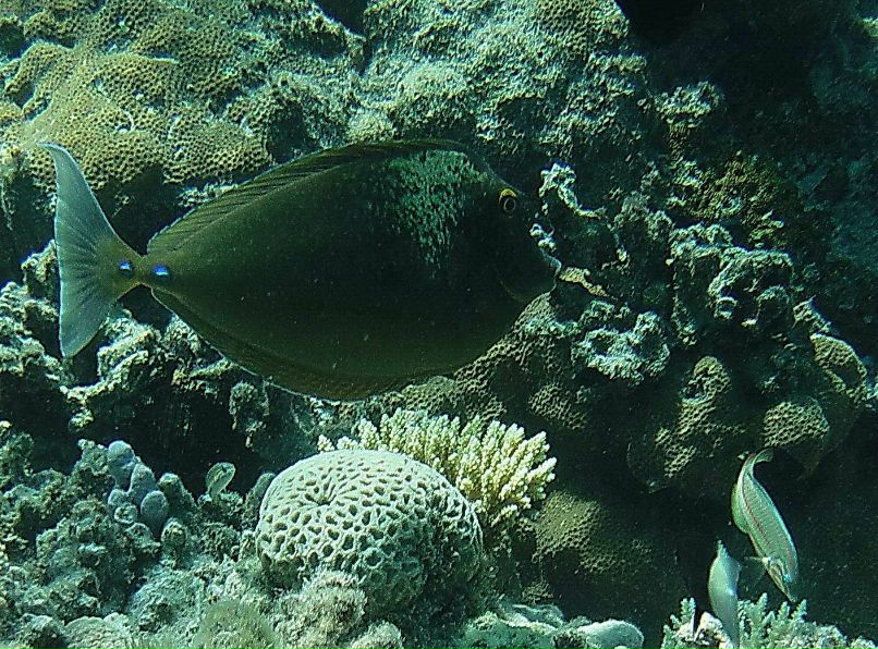 Александр Кирпичёнок | Санкт-Петербург