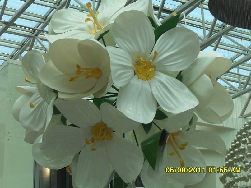 Наталья Бондаренко | Санкт-Петербург