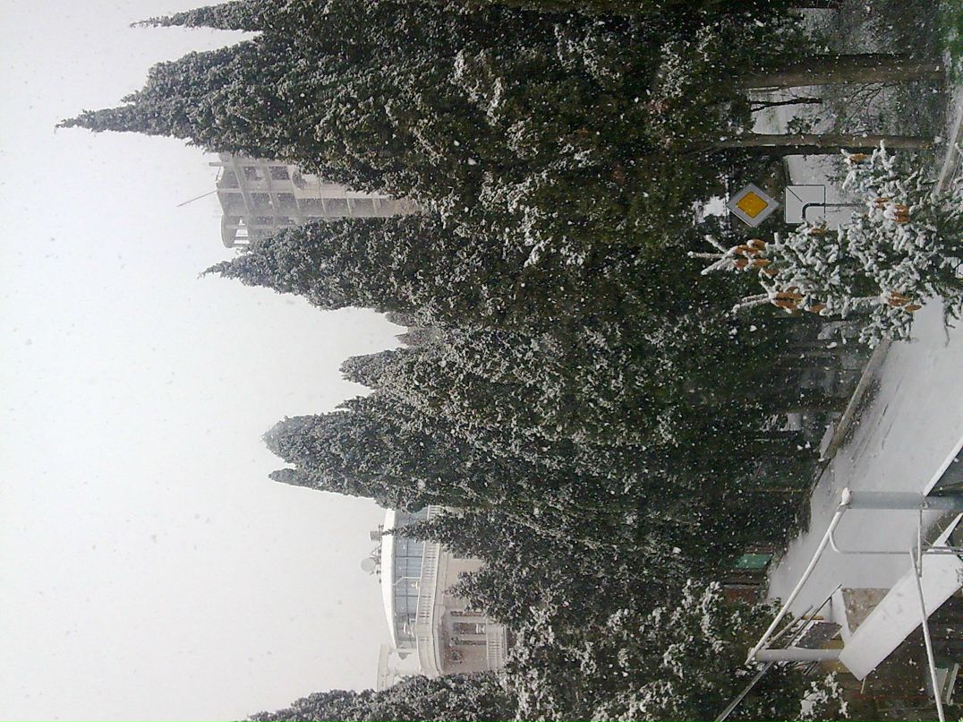 Олег Дедюлин | 