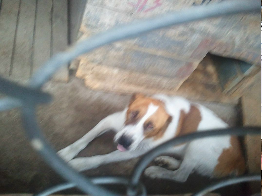 Александр Дьяченко | Москва