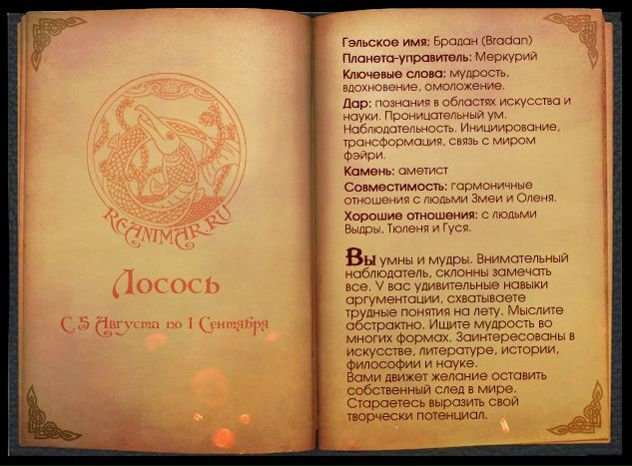 №65, Анна Шатова, Санкт-Петербург №65, Анна Шатова, Санкт-Петербург