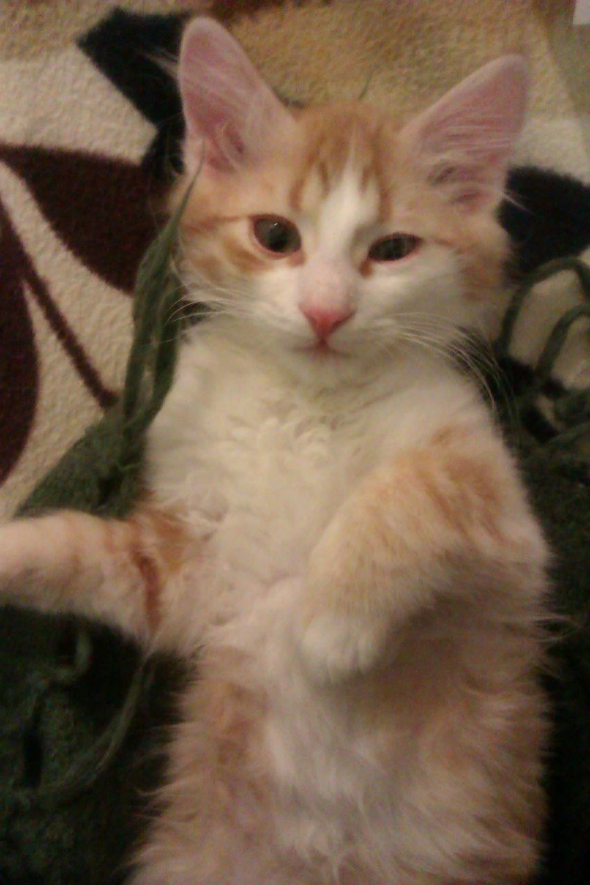 Ляля Власова | 