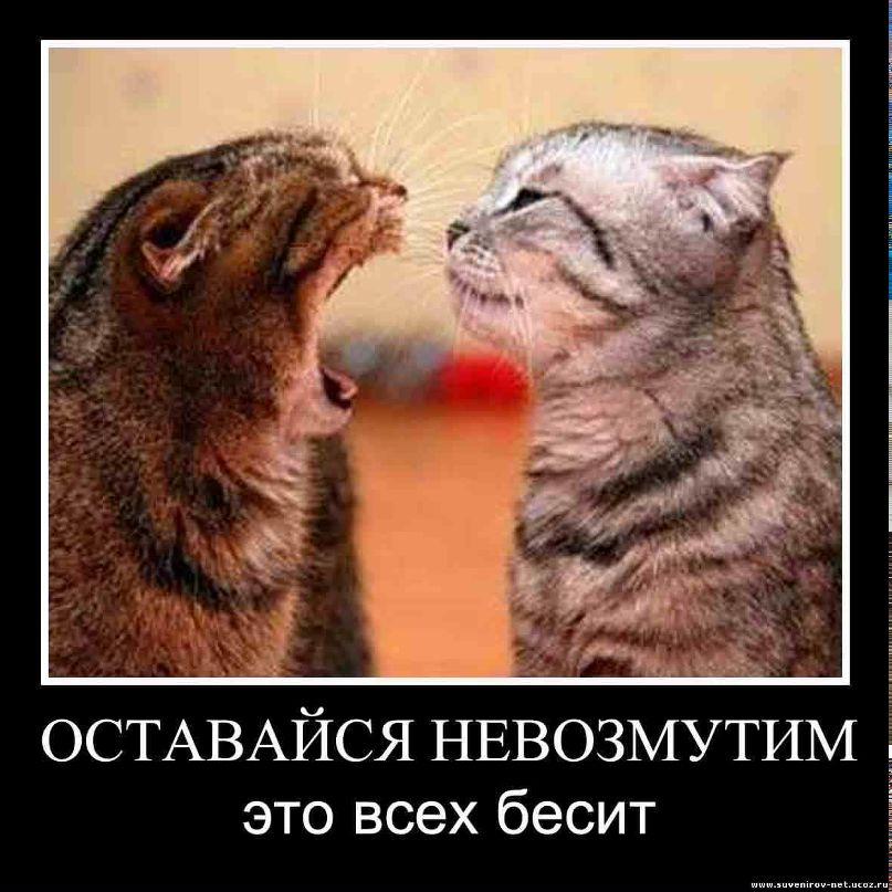 Светлана Илеткина | Казань