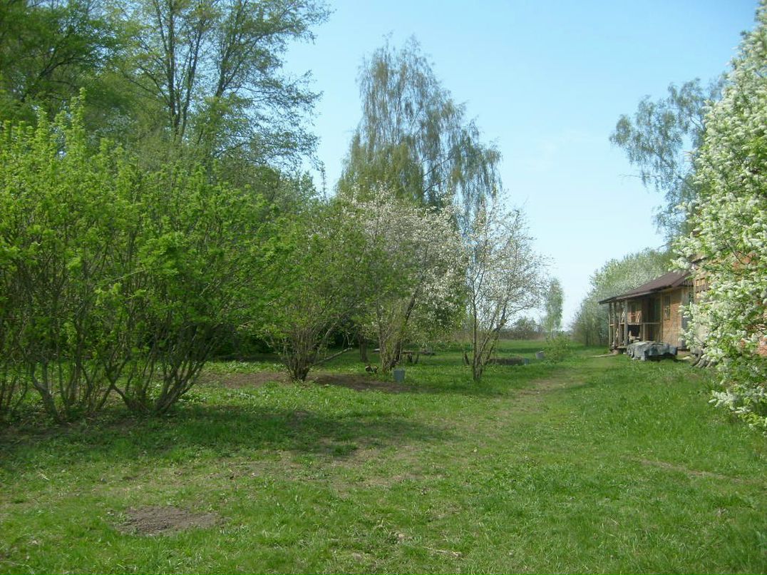 Александр Перепухов | Москва