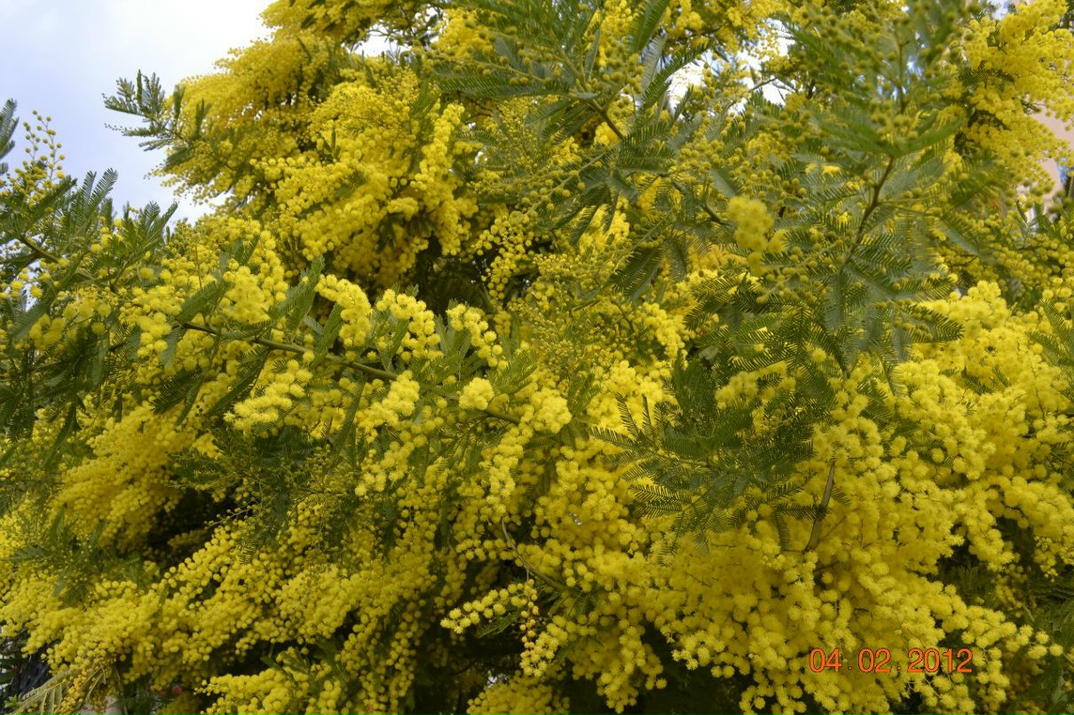 Петр Савенков | Астрахань