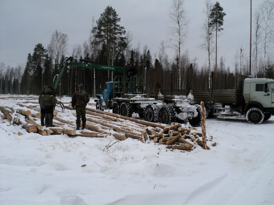 Павел Жаркофф | Санкт-Петербург