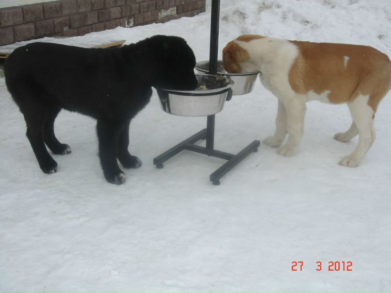 Юрий Варзов | Санкт-Петербург