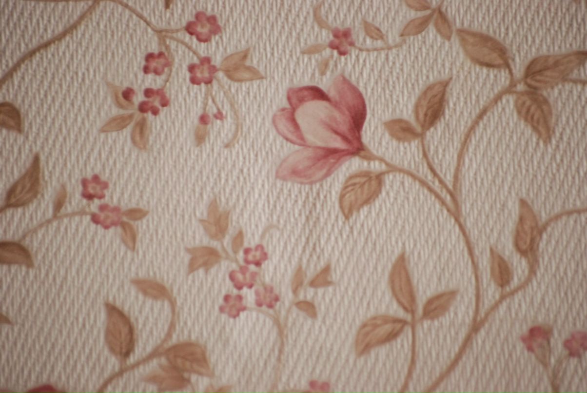 Оленка Галай | Киев