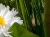 Татьяна Кукобенко | Москва