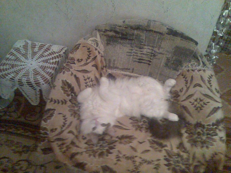 Илья Матвеев | Уфа