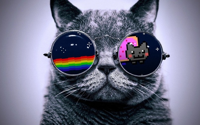 Константин Вапнярчук | Щелково