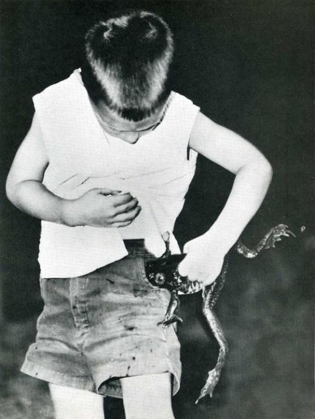 Young Thailand | Montréal