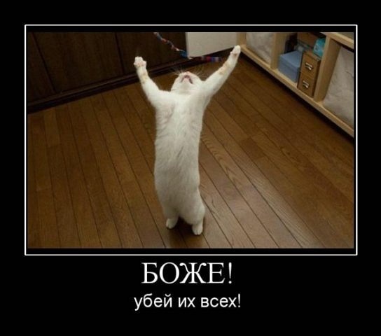 №101, Александра Шаповалова, Одесса №101, Александра Шаповалова, Одесса