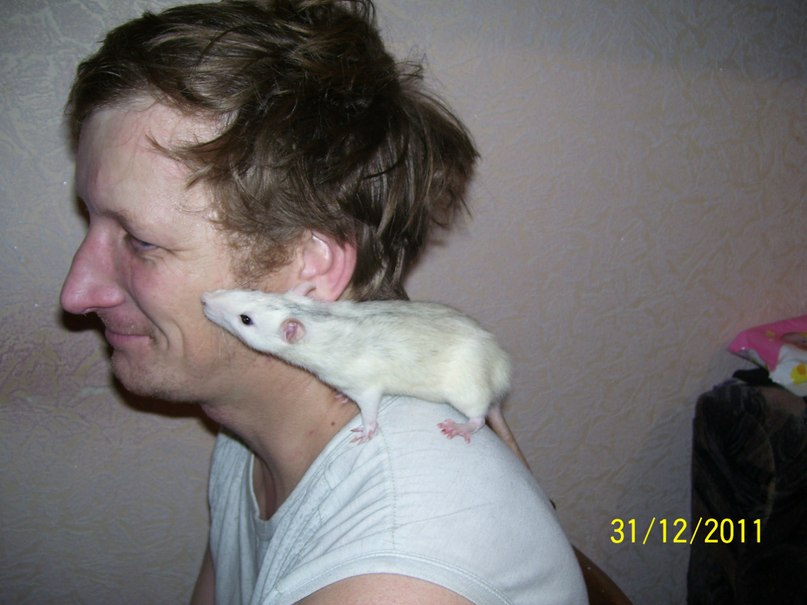 Александр Денисенко | Харьков