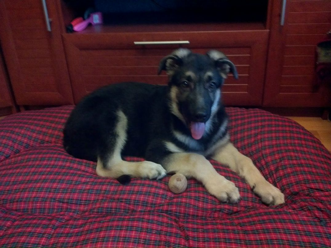 Светка Ефимова _шумахер_ | Зеленоград