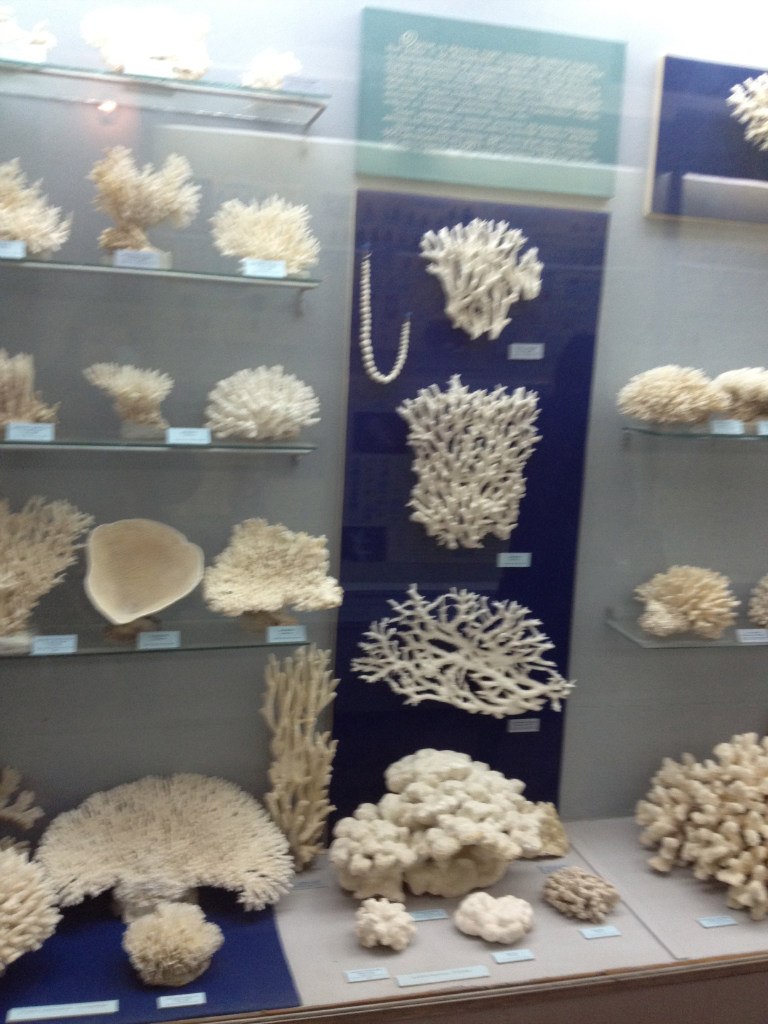 Мария Шаралапова | Феодосия