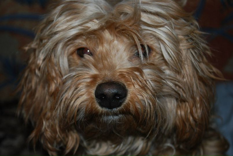 Катерина Хакимзянова | Магнитогорск