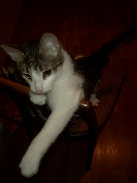 Александр Андреевич | Казань