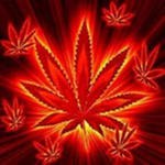 №87, Константин Гришин, Кропивницкий / Кировоград №87, Константин Гришин, Кропивницкий / Кировоград