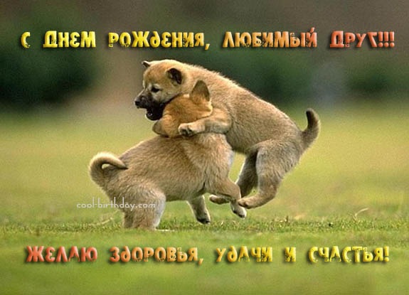 №2, Павло Ковалик, 27 лет №2, Павло Ковалик, 27 лет