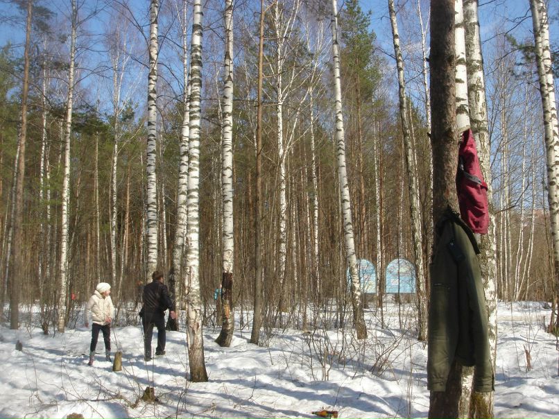 Татьяна Соловьева Сергеевна | Череповец