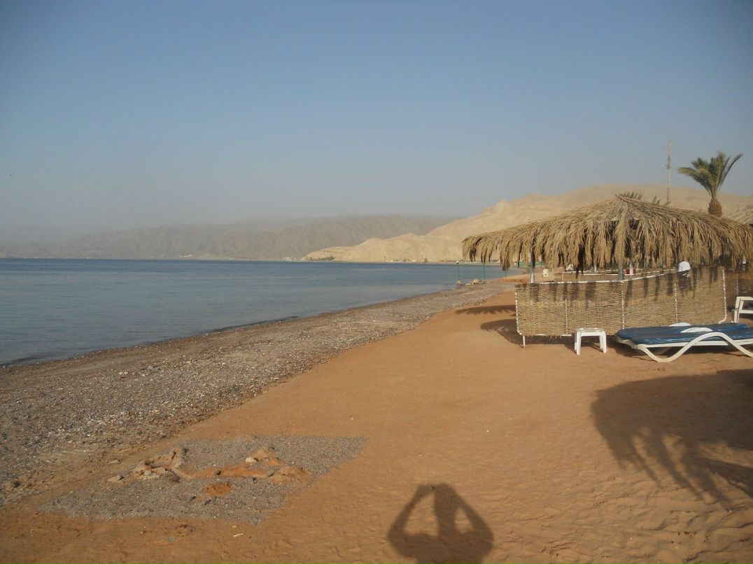 Юрий Мироненко | Электросталь