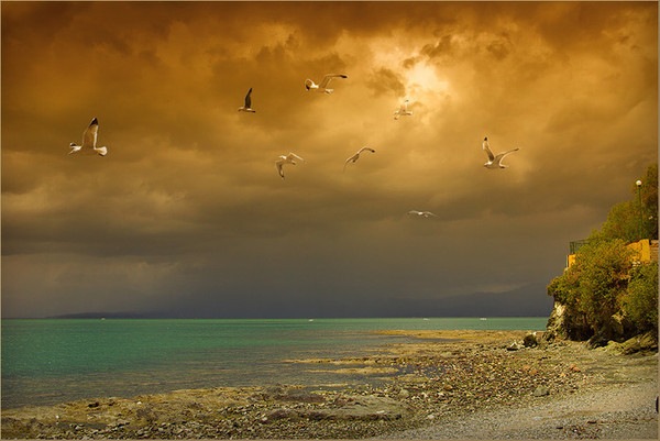 №62, Елена Ломакина, Wrocław №62, Елена Ломакина, Wrocław