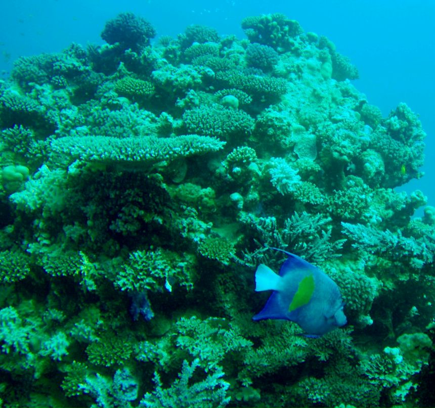 Иван Смирнов | Москва