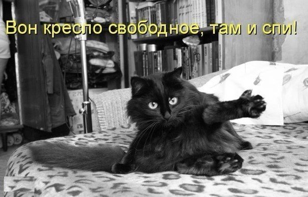 Михаил Пшеничнов | Днепр (Днепропетровск)