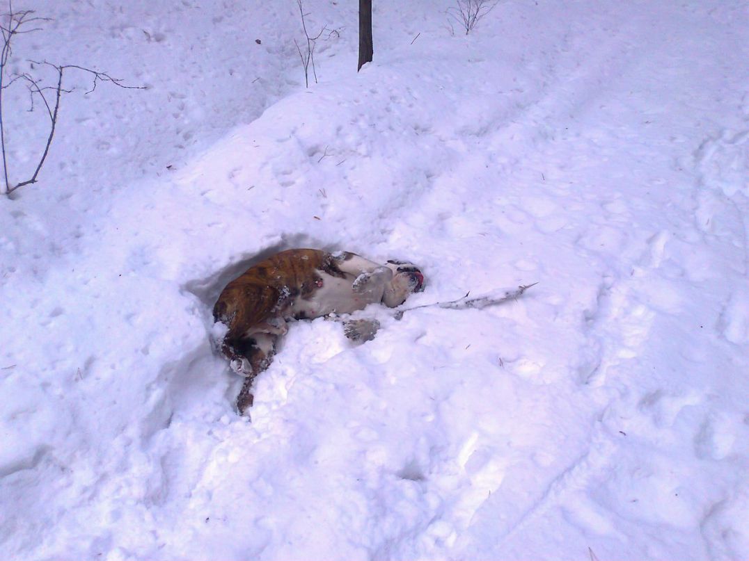 Маша Конышева | Praha