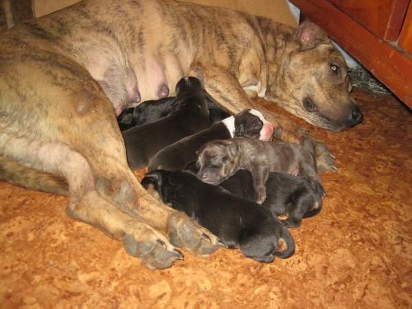 Вера Калунина | Красноярск