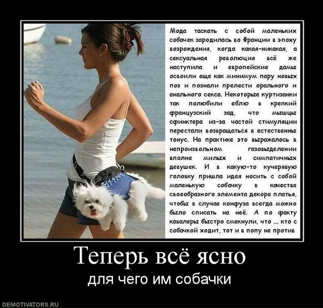 №49, Максим Сокур, Николаев №49, Максим Сокур, Николаев