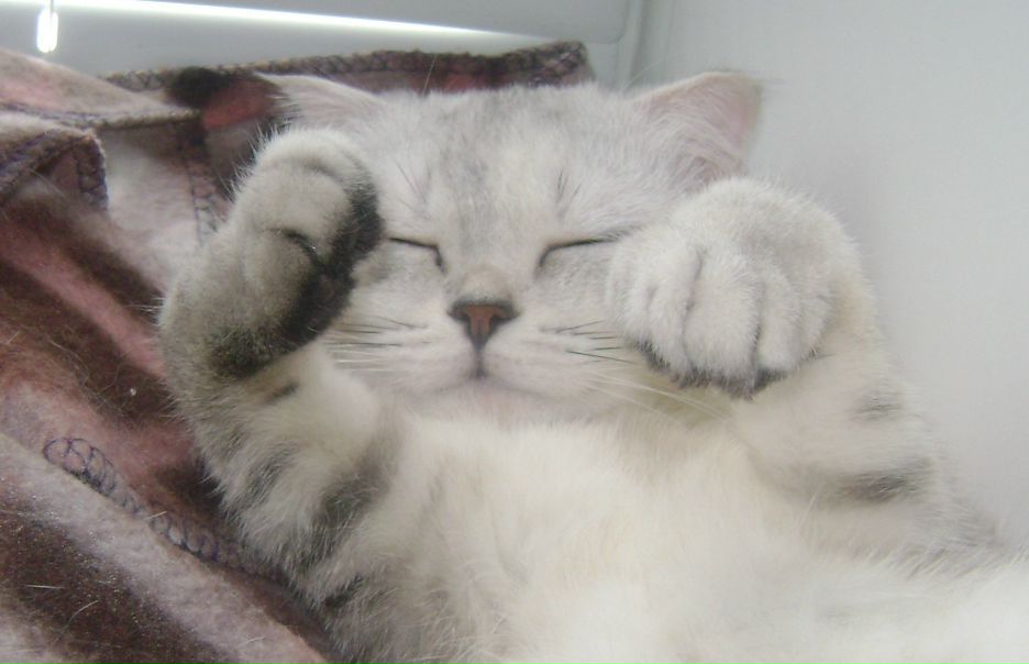 №128, Наталья Анашкина, 38 лет, Владимир №128, Наталья Анашкина, 38 лет, Владимир