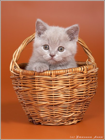 Христина Драганчук | Тернополь