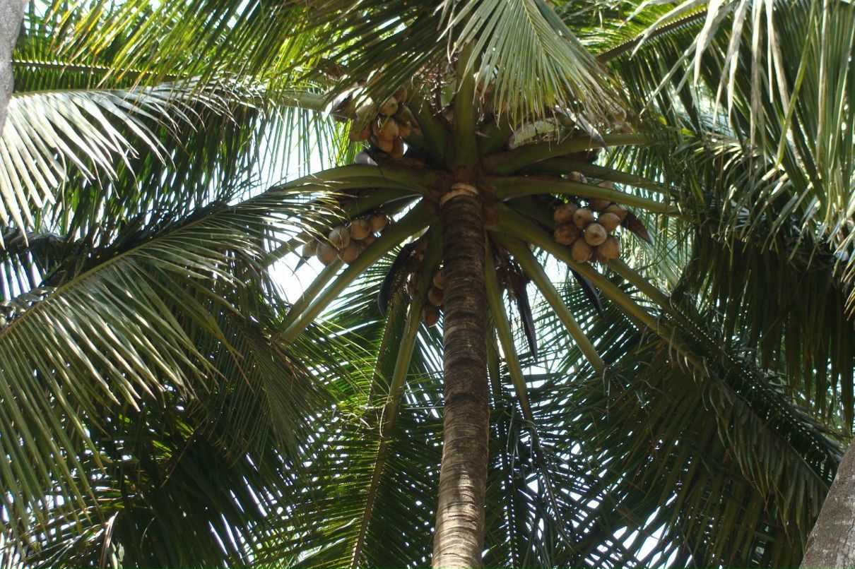 Татьяна Полякова | Рязань