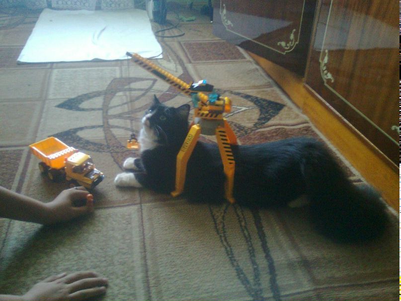 Любця Матвіїшин | Львов