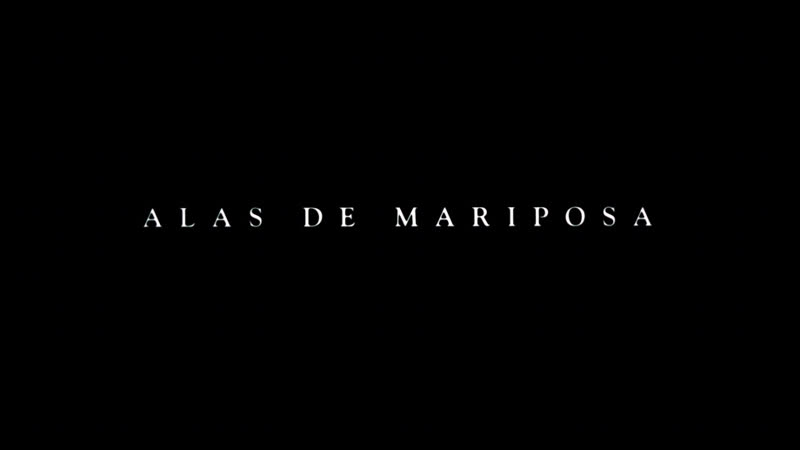 Juanma Bajo Ulloa Alas de mariposa