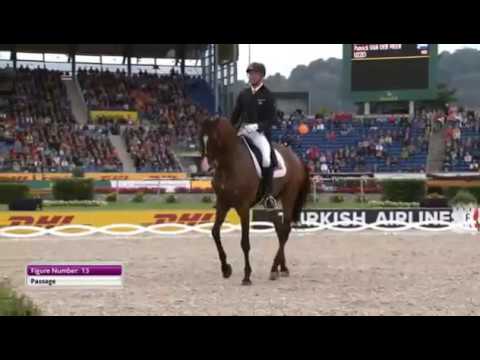 Patrick van der Meer and