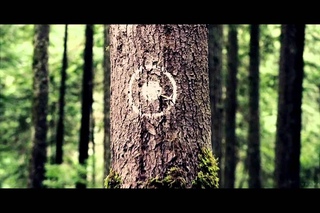 once upon a time || ready aim fire