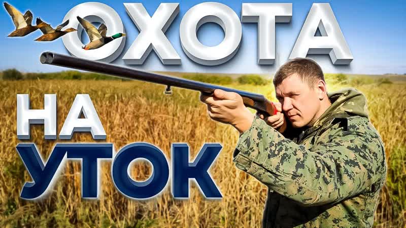 охота на утку осень 2021, ТАКОГО МЫ НЕ