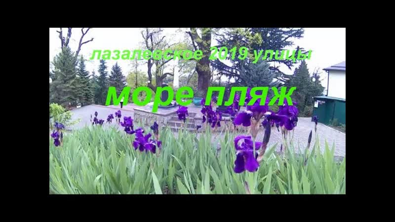 2019 Сочи отдых на море, Жизнь в