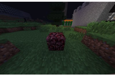 Виктор Румянцев | Черноголовка