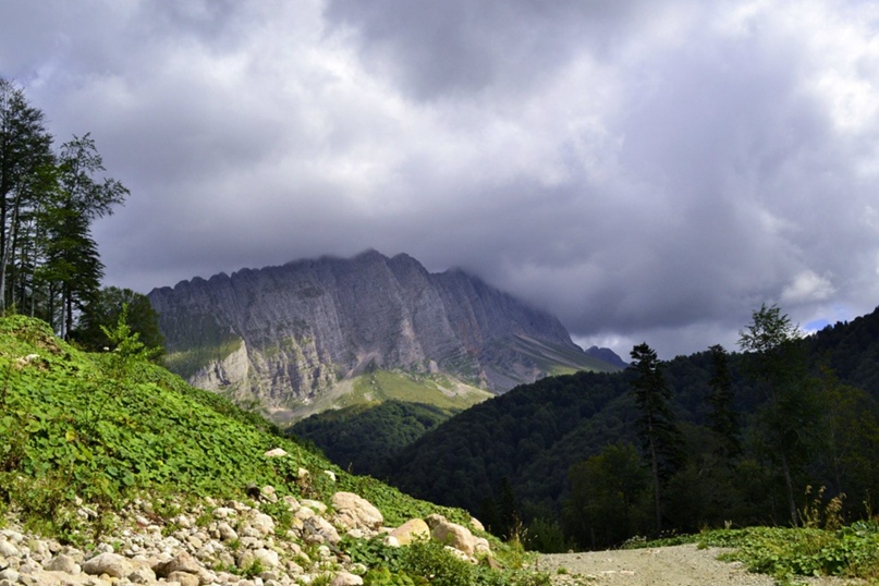 Наталья Дорошенко | Краснодар