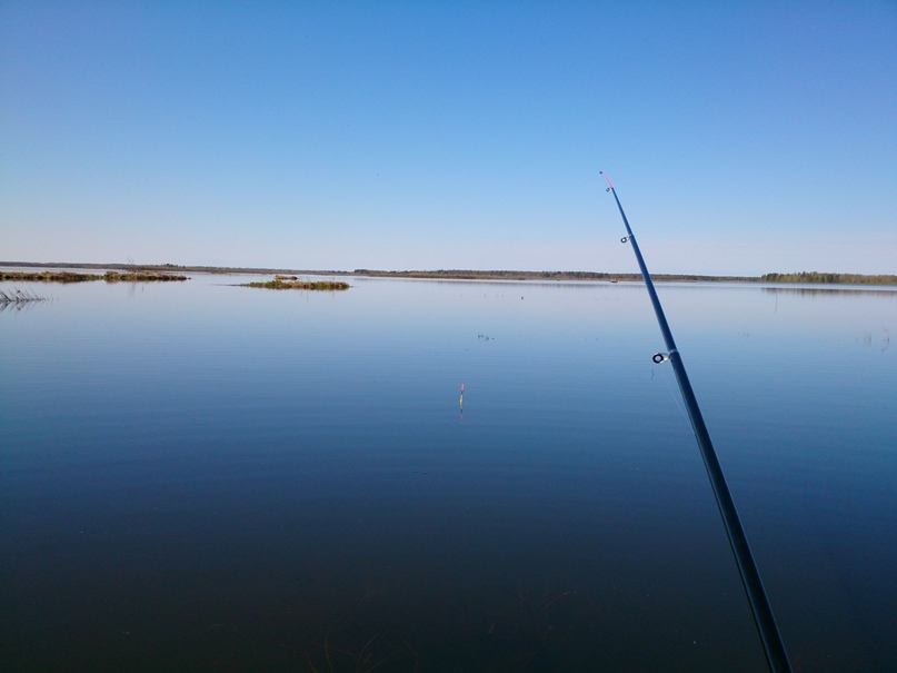 Александр Логвинов | Сургут
